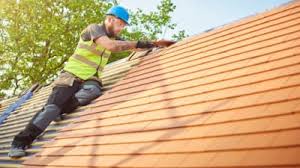 Best Roof Moss and Algae Removal  in Norman, OK